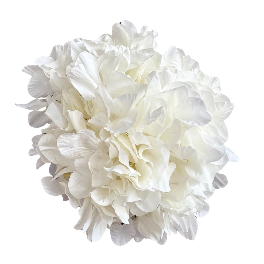 Hortensja Główka Biała 23KW411